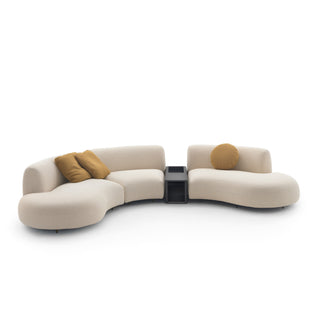 Arflex Sofa | Tokio Curved