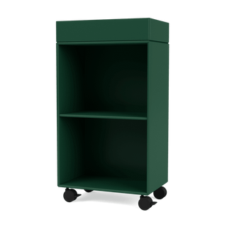 Preppy Wagen Selection - Bücherregal - Montana Furniture - Pine -