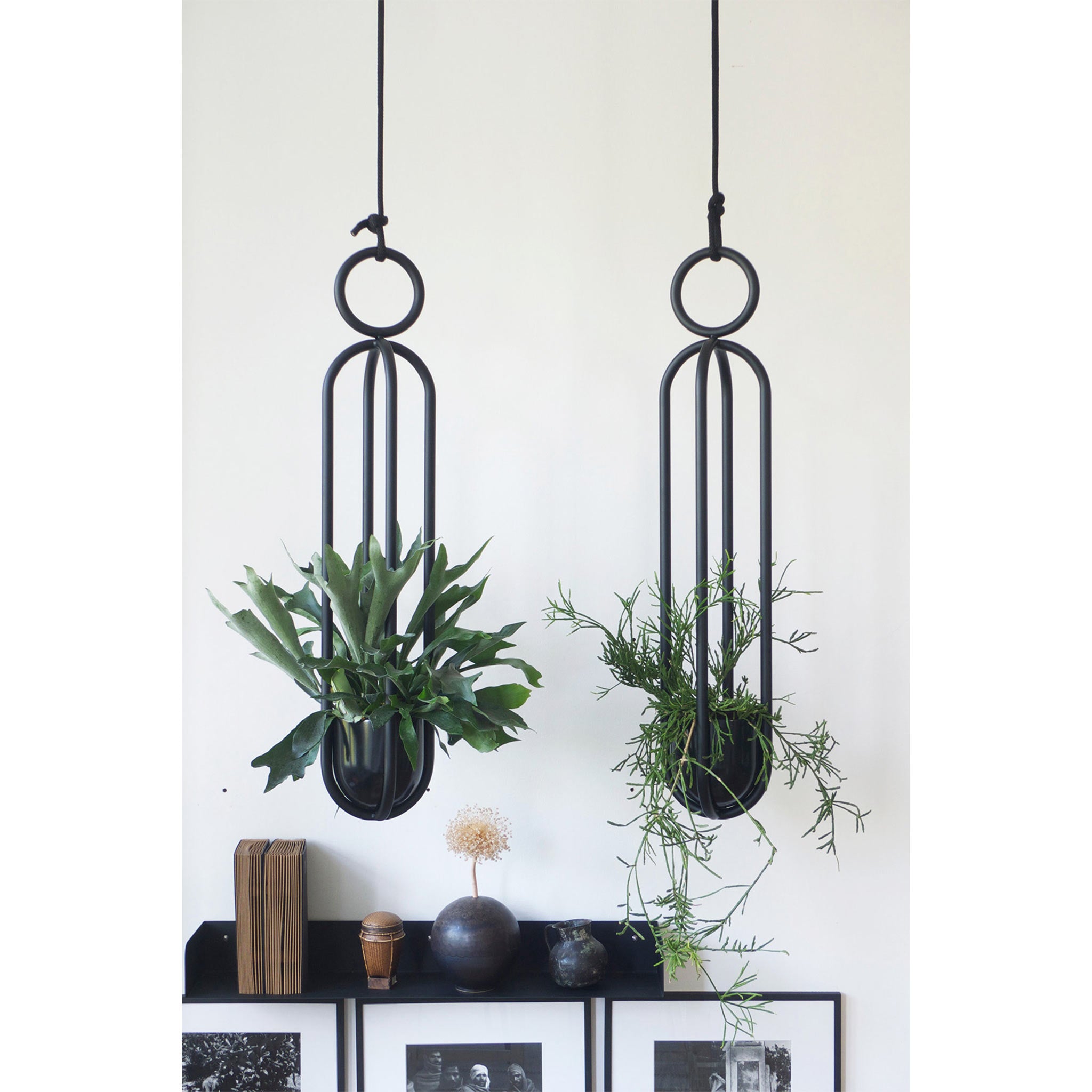 Blumenampel Hängevase | europäische Designmöbel | das möbel